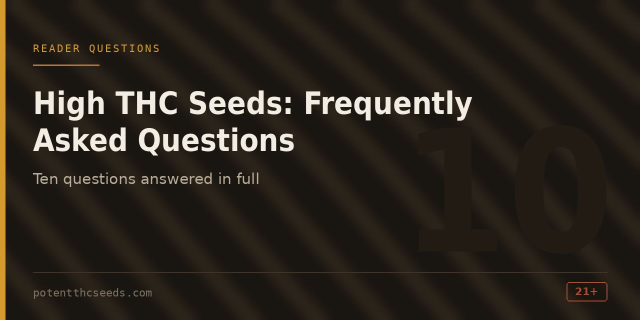 Section cover for the question and answer block, noting ten questions answered in full