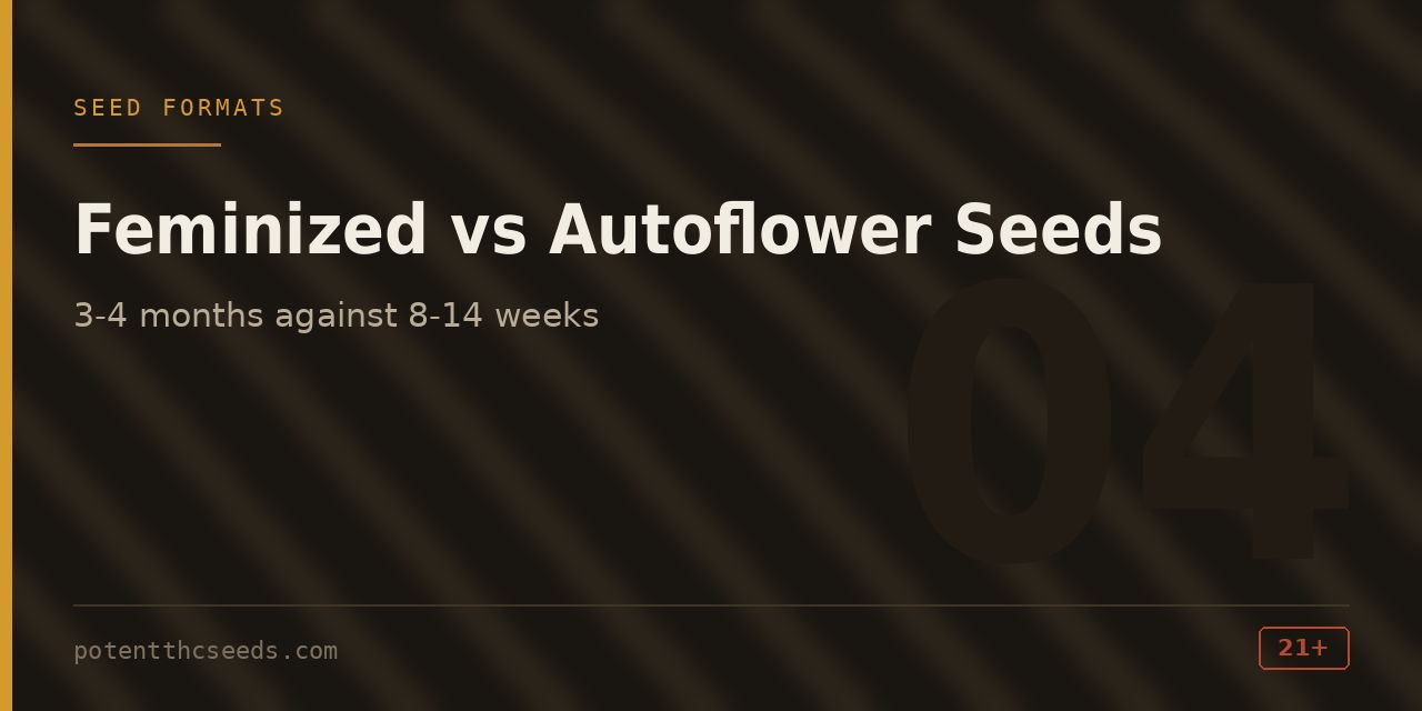 Section cover comparing seed formats, contrasting three to four months against eight to fourteen weeks